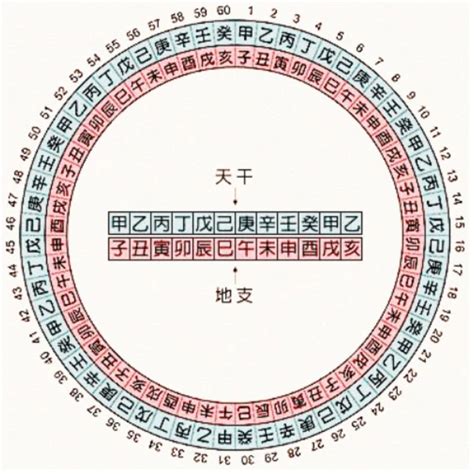 甲木戊土|十天干與十二地支喜忌——甲木篇